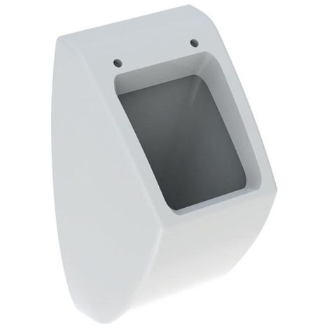 Pareo GE Urinoir avec couvercle, entrée d'eau arrière, évacuation arrière, blanc, KeraTect