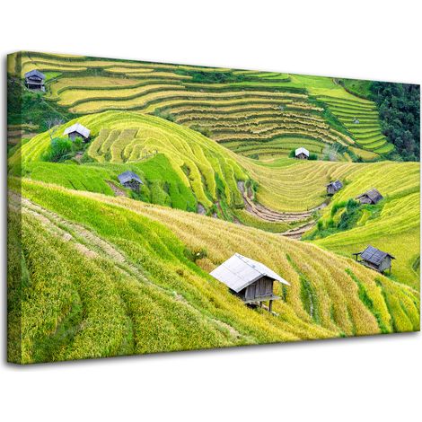 Stampa su tela Natura Terrazze agricole 80x50 cm