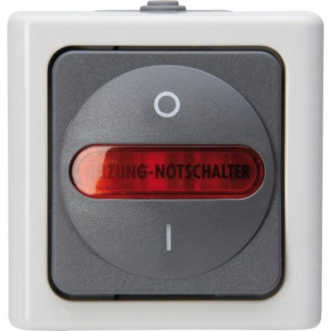 KOPP Wippschalter gr mt BLUEELECTRIC AP IP44 1f Kontroll 10AX 562356009 (1/5)