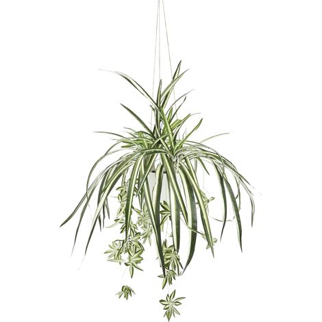 Plante Artificielle Plante araignée avec Suspension - Plante en Soie - Plante de Bureau - Plante Verte - Chlorophytum - Plante d'intérieur - Serpent - Nénuphar (1/3)
