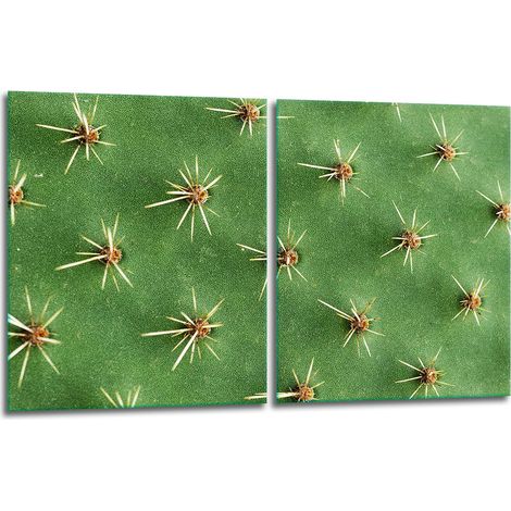 2 plaques de protection en verre pour cuisinière 40x52 Cactus (1/5)