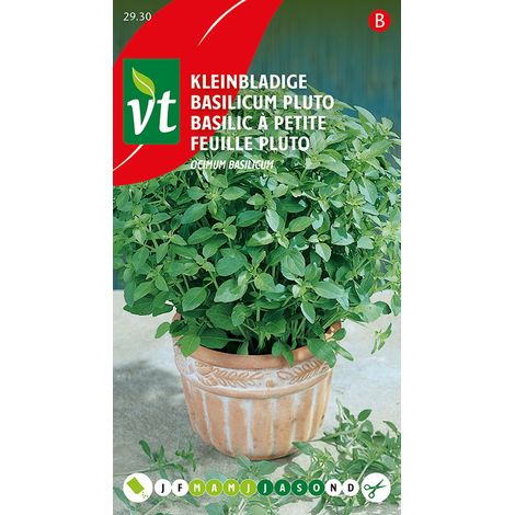 Basilic Pluto à Petites Feuilles - Ca. 0,4 gr (Livraison