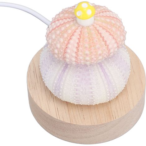 Veilleuse LED blanc chaud, prise USB, corps en coquillage naturel, décoration champignon mignonne, lampe de chevet (1/5)