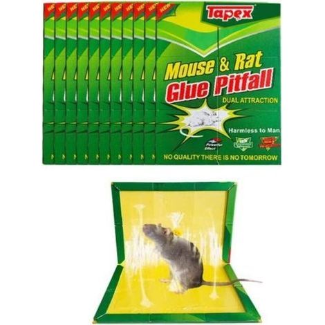 DBBEGK Piège à Souris, Piège à Rats Efficace, Attrape Souris - 10 Plaques de Glu Collante - Vert, Grande Taille 21 X 35 cm - Pour la