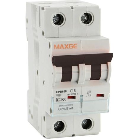Interruttore Magnetotermico Industriale 2P 10kA 10-63A Curva C MAXGE  50 A