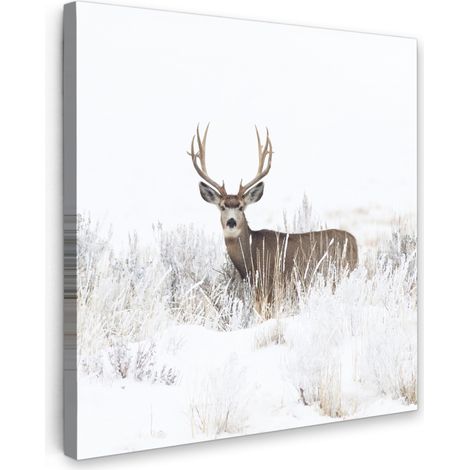 CUADRO EN LIENZO Ciervo - Invierno - Nieve - Animales - Estaciones - Blanco Decoracion Pared Salon 20x20 cm