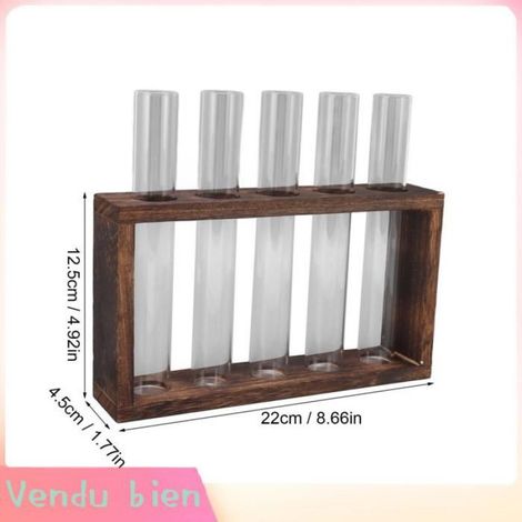 Garosa Terrarium pour plantes à 5 tubes à essai 5 tubes à essai pour Terrarium de plantes, transparent, jardin Couleur carbone (1/4)