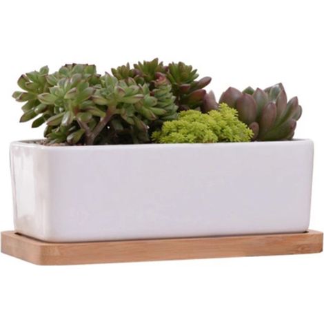 Vaso rettangolare in ceramica bianca con sottovaso in bambù, ideale per piante grasse, da posizionare su un tavolo o una scrivania.