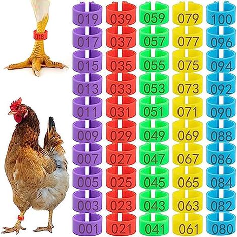 100 anneaux en os de poulet - Anneaux en os colorés et numérotés de 16 mm pour poulets, canards, poussins, oies, gibier à plumes et dindes [Ho] (1/5)