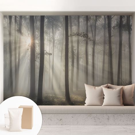 Fototapete Tapete Vliestapete mit Kleber Büro Wandgestaltung - Wanddekoration Wohnzimmer Ätherischer Wald 208x146 cm (1/5)