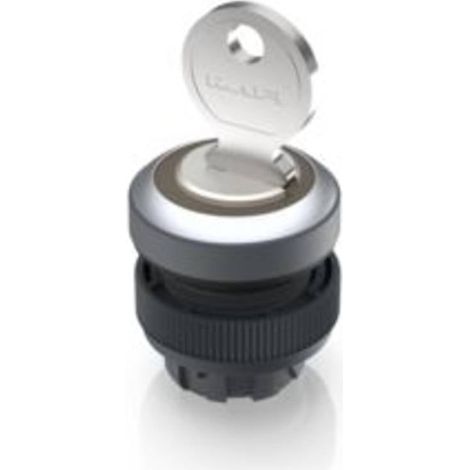 RAFI 1.30.245.202/0000 RAFIX 22 QR Interruttore a chiave 1 x 90 ° 1 pz.