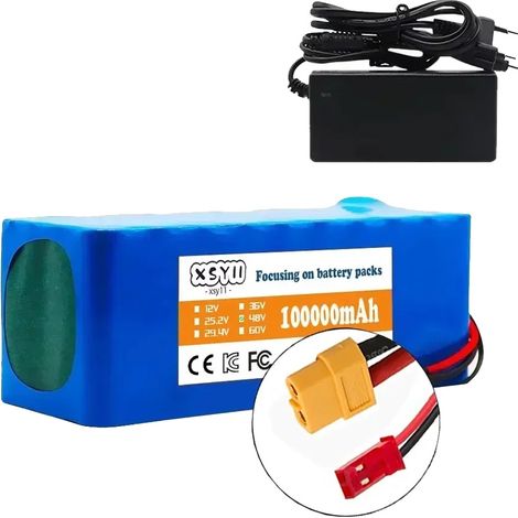 Batterie Lithium-ion, Capacité 100Ah, Tension 48V, XT60 JST (1/2)