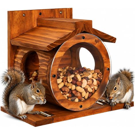 Mangeoire pour écureuil avec mangeoires rondes transparentes pour écureuils, montage d'arbres, clôtures en plein air, pour cour, balcon, jardin, arbre (1/5)