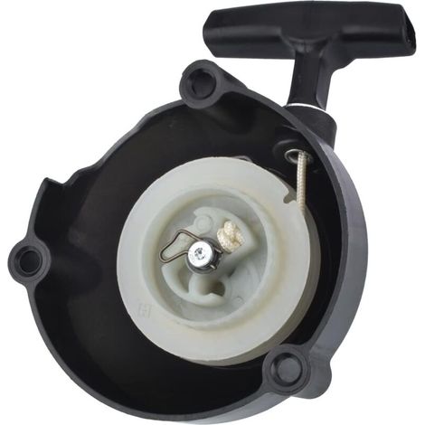 Démarreur à Rappel pour Stihl BR600 BR500 BR550 Souffleur de Feuilles, Référence 4282 190 0303 (1/5)