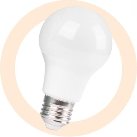 Ampoule LED avec capteur crépusculaire - E27 A60 - 9W - 1200lm - Blanc Neutre (1/5)