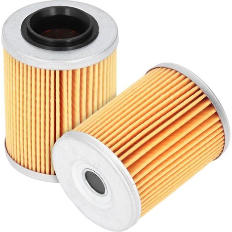 2 Filtres à Huile Moteur pour CF Moto CForce UForce ZForce - Pièces ATV Quad (1/5)
