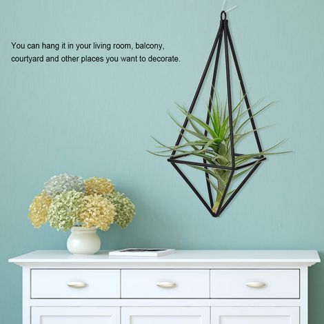Support pour plantes aériennes, étagère suspendue quadrilatérale pour Tillandsia, décoration de chambre (noir) (1/5)