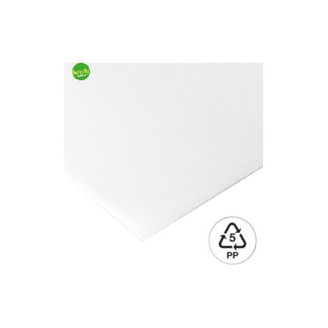 Lastra Polimark alveolare neutro 50 x 150 x 0,25 cm