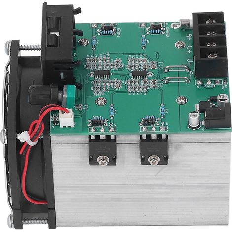 Testeur capacité batterie ampèremètre chargeur électronique module surveillance décharge DC12V 0-20A 250W (1/5)