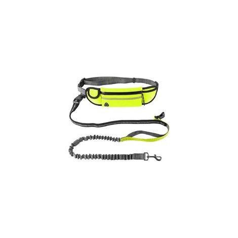 Laisse mains libres avec sac ceinture ventrale pour chien, vert – (1/4)