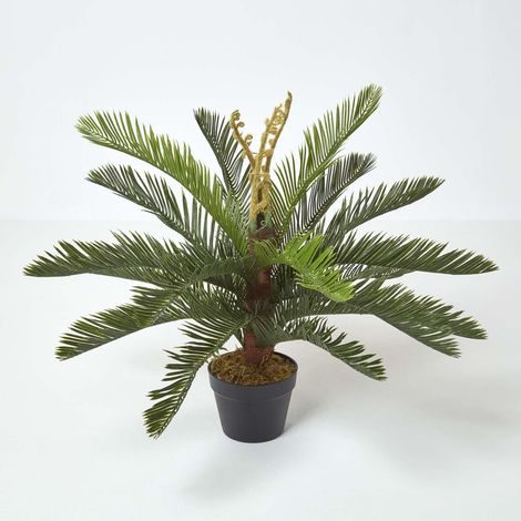 HOMESCAPES Kunstpflanze Grün 'Palmfarne' Cycadales Pflanze im Topf, 75 cm