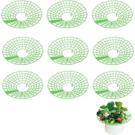 Confezione da 9 supporti per fragole - Supporti per fragole da giardino - Supporti riutilizzabili per piante di fragole - Vassoi in plastica - Proteggono le fragole da marciume e sporco (1/5)