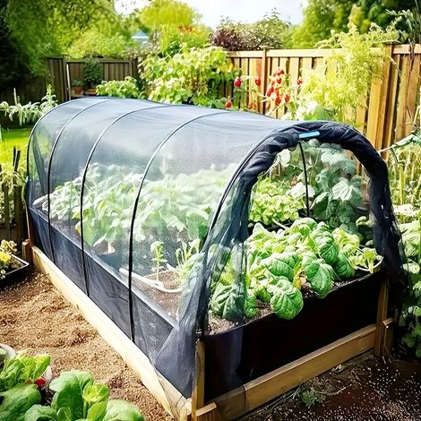 Zuschneidbares Insektennetz, Maße 2,5 m x 7,5 m. Schützt Pflanzen, Gemüse und Obst effektiv. (Dünn, schwarz) (1/5)