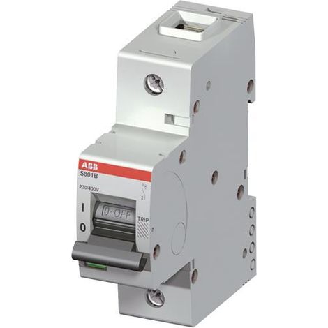Disjoncteur S801B 1P 80A Courbe B Raccordement à vis - 16KA (1.5Module) 2CCS811001R0805 ABB 745120