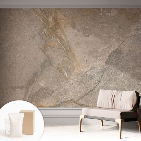 Fototapete Tapete Vliestapete mit Kleber Büro Wandgestaltung - Wanddekoration Wohnzimmer Natürliche Eleganz 312x219 cm (1/5)