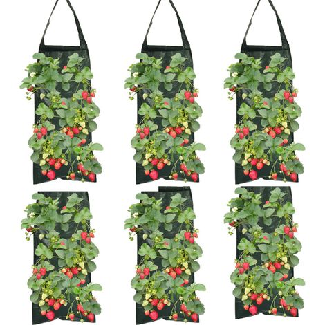 Sacs de plantation de fraisiers verts à 8 trous, sacs de plantation suspendus pour jardin, adaptés à la plantation dans le jardin (6 pièces)