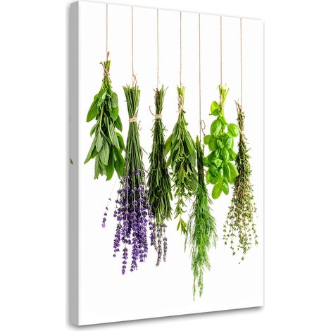 Wandbild Hängende Kräuter 60x90 cm (1/5)