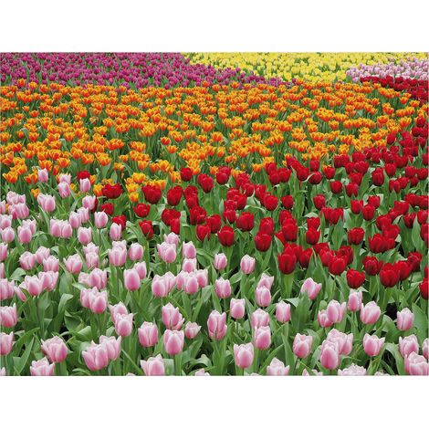 Art for the Home Outdoor Leinwandbild Garten Wanddeko - Tulpen - 50x70cm (1/5)