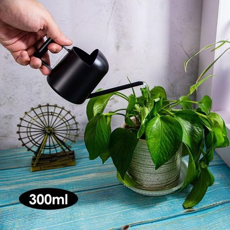 Mini Arrosoir Intérieur 300ml en Acier Inoxydable Noir, Bec Long avec Poignée Érgonomique pour Plantes, Balcon et Bureau (1/4)