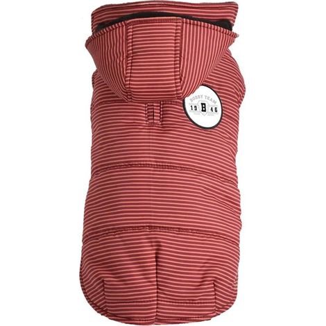 Giubbotto imbottito Raye Bordeaux 25 XS: Giubbotto imbottito Raye Bordeaux con cappuccio rimovibile e interno in caldo pile, collo a T regolabile