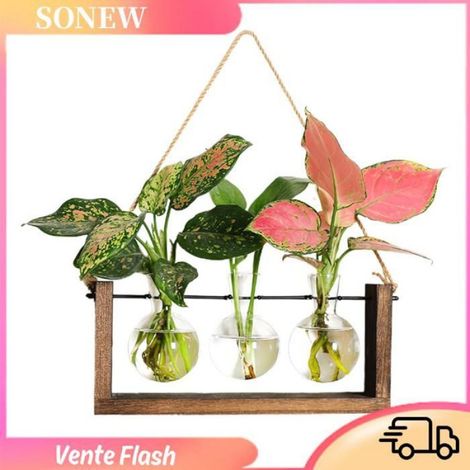 Sonew vase suspendu mural Vase Hydroponique avec Cadre en Bois Rétro pour une Excellente Propagation des Plantes deco decoration (1/5)