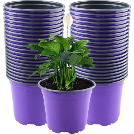 Lot de 50 pots de fleurs en plastique violets de 15 cm, légers, pour semis et pépinière (15 x 13 cm) (1/5)