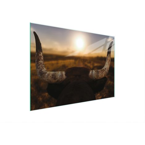 Glasschneidebrett 30x22 Sonne (1/5)