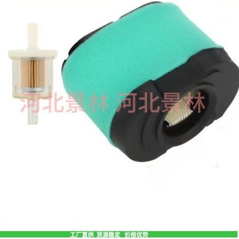 792105 276890 407777 40G777 445667 445877 Z245 Air Filter & Oil Filter Set (1/3)