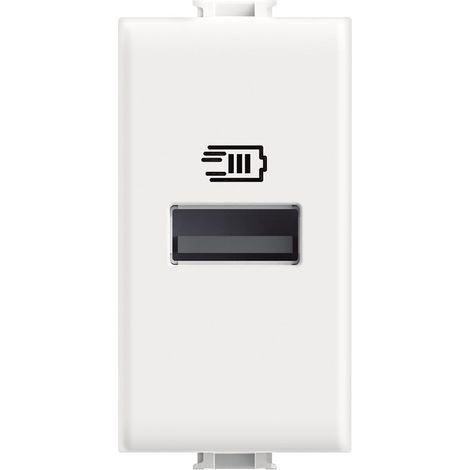 Caricatore USB Con Una Porta Tipo A Fino A 15W (1/3)