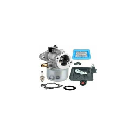 Vergaser 799868 für Briggs & Stratton Motoren 498170, 799872, 694202, 497586, 498254, 790821 – Kompatibel mit Briggs & Stratton Vergaser 14111 + 795259. Luftfilter und Sockel.