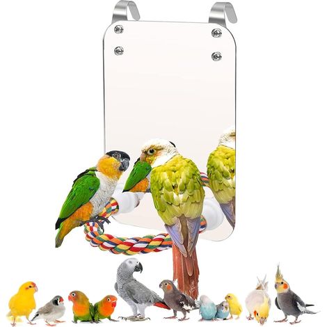 Miroir pour Oiseaux avec Perchoir en Corde Colorée pour Cage (1/5)