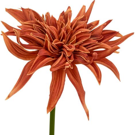 Varilla decorativa Homy H. 55 cm - Atmosphera créateur d'intérieur (1/4)