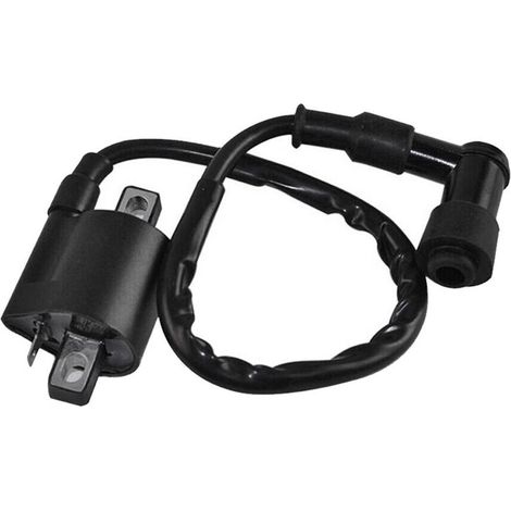 Black Ignition Coil Compatible with Yamaha PW50 PY50 PEEWEE PY PW 50 Dirt Pit Bike Parts (1/4)
