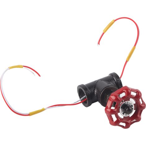 Interrupteur Lumineux Style Steampunk Robuste pour Lampe Industrielle 12V/120V avec Fils et Valve G1/2