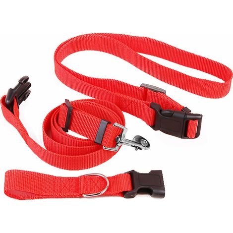Ensemble Collier Et Laisse Pour Chien - Nylon Réglable Avec Fermoir De Sécurité - Pour Promenade Et Sport - Taille Unique (1/5)