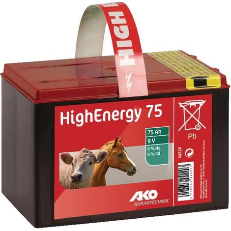 Batt. a secco 9V 75Ah salina AKO 44220