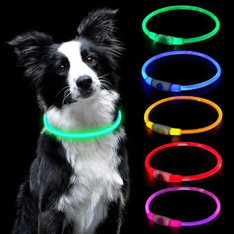 Collier LED Chiens et chat - Collier de sécurité rechargeable USB - Réglable et découpable, 3 modes d'éclairage - Pour promenades nocturnes - Collier lumineux - Vert - 1 pièce (1/5)