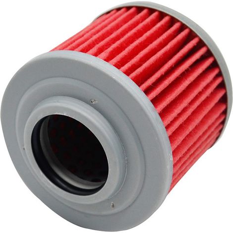 Oil filter element and filter for BMW F650 F650CS G650S F650GS