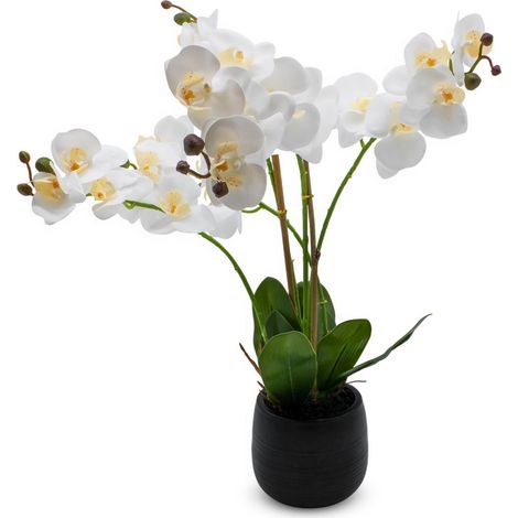 Künstliche Real-Touch Orchidee im schwarzen Blumentopf - 67 cm - Deko Seidenorchidee mit Keramiktopf