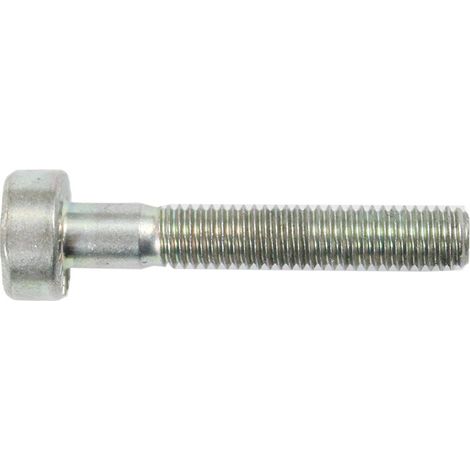Vis cylindrique M5x30 Stihl (1/2)